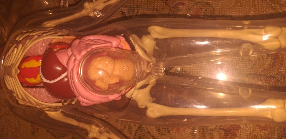 Colectia completa Corpul Uman