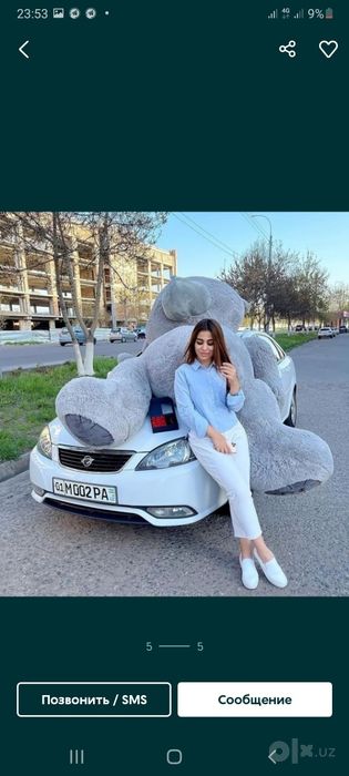 Teddy orginal 10%Skidka