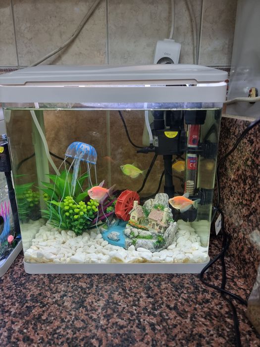 Продам два аквариума