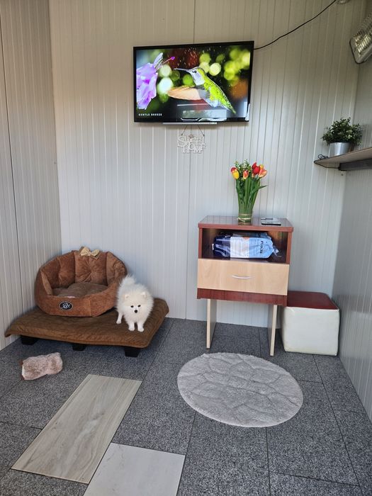 Хотел за домашни любимци Варна  Pet Hotel Зоо хотел