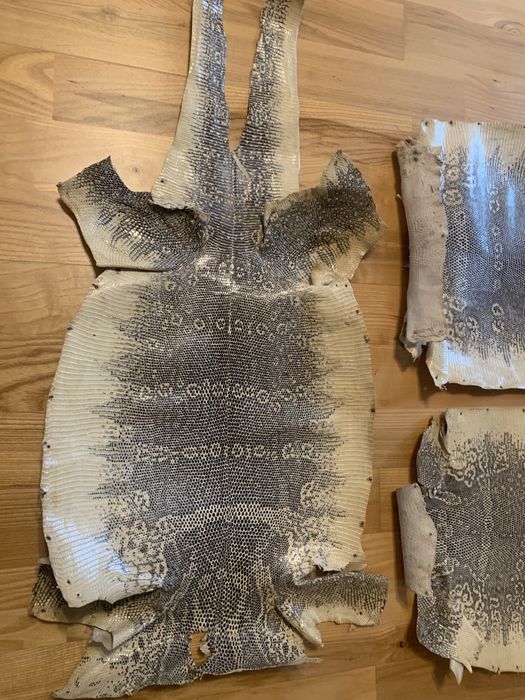 Piele naturala varan reptila exotica