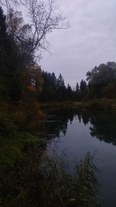 Продам дом Московская область