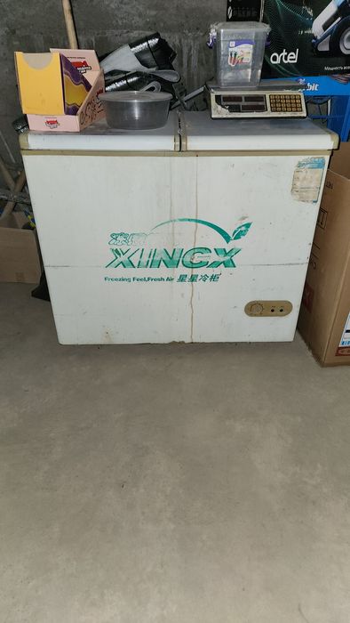 Muzlatkich ideal hollatta