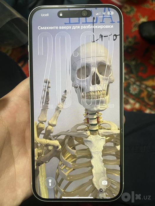 iPhone 17 pro max