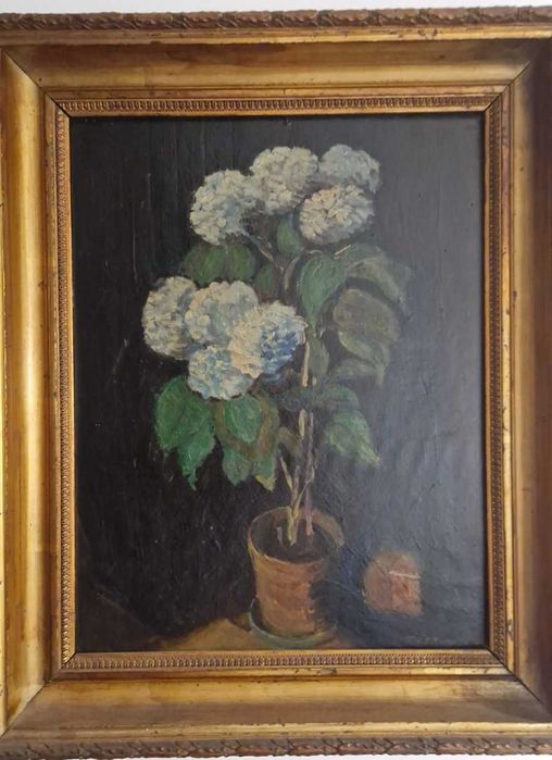 Tablou hortensii, semnat Vernescu