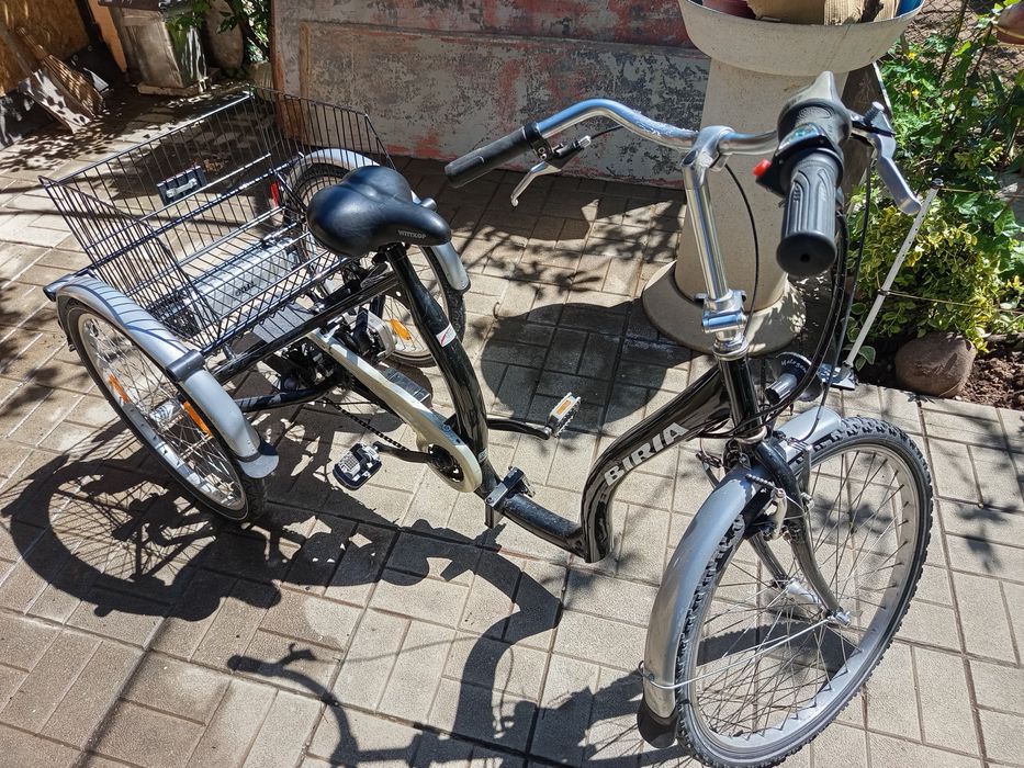 Електрическа триколка 24в 250w