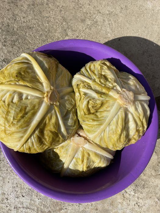 Vând Varză Murată– Calitate Premium