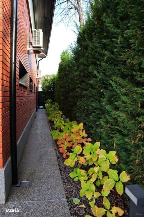 Casa Premium Zona Bucium La Strada Principala