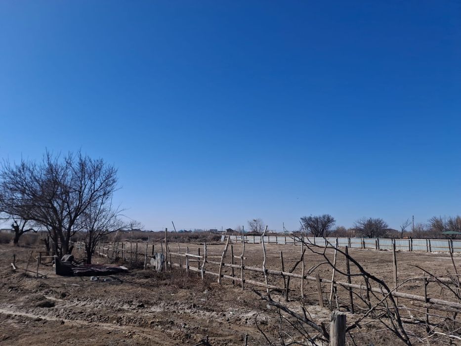 Жер сабалақ сатылады