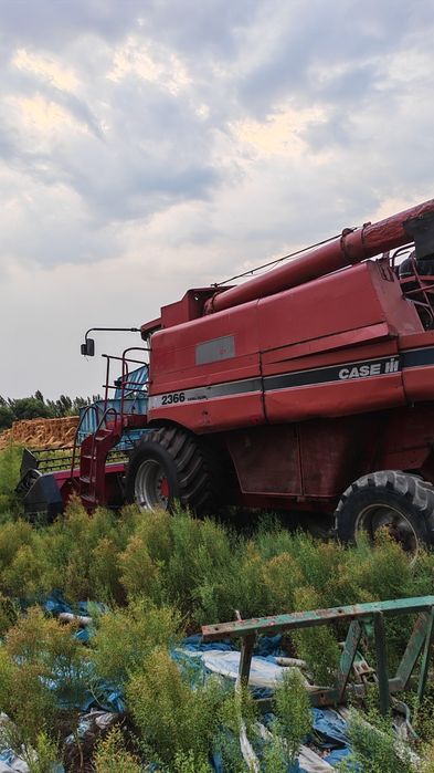 кейс 2366 ( case 2366 )