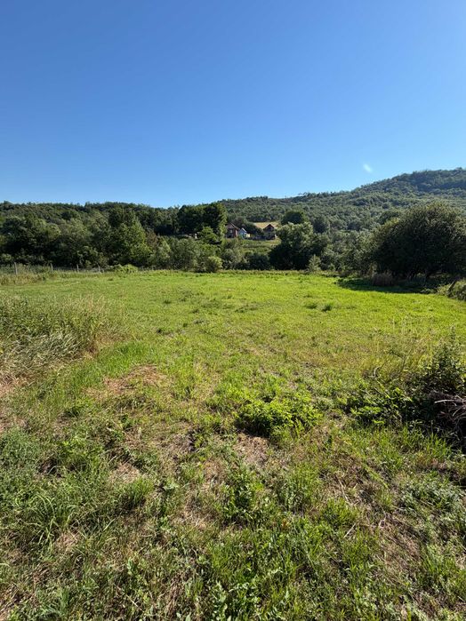Casa de vanzare + curte 1900 m2