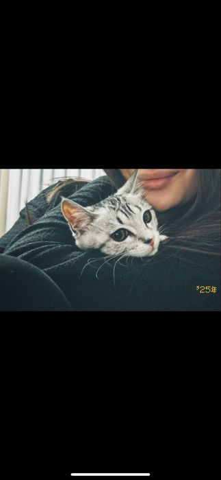 Отдам в хорошие руки