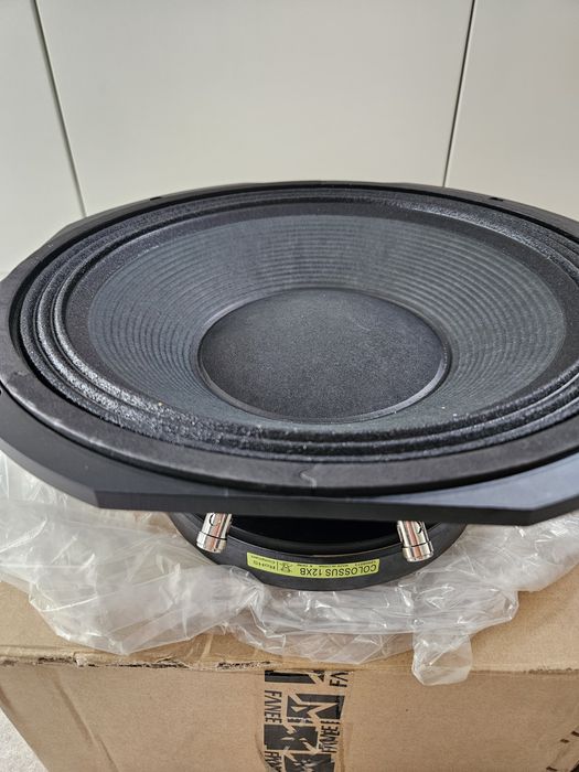 Difuzoare. 2x FANE Colossus 12XB