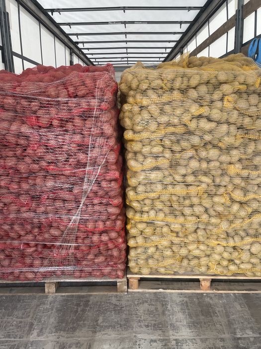 Cartofi +55, Mere , varză, morcovi