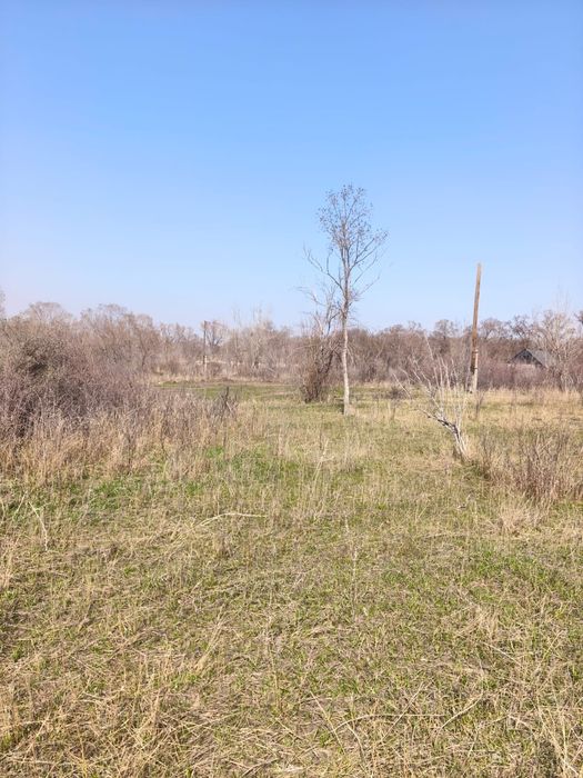 Земельный участок