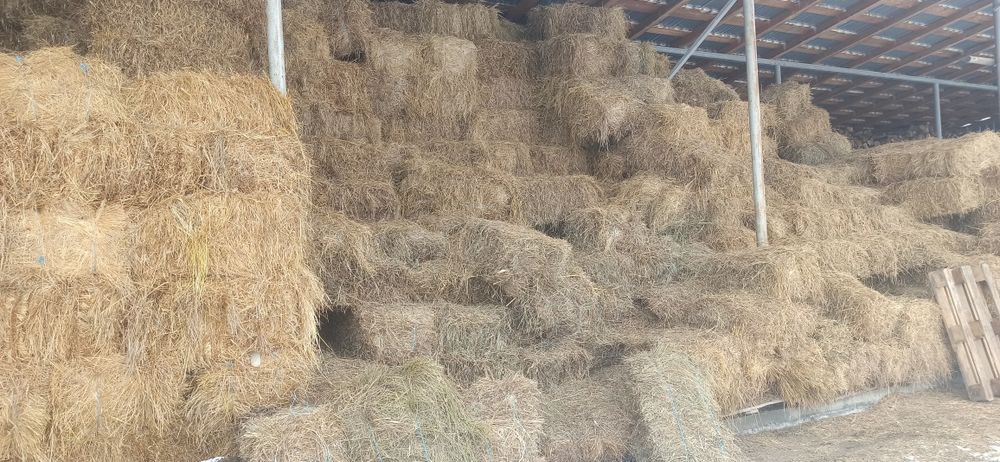 Baloți fân (otavă)