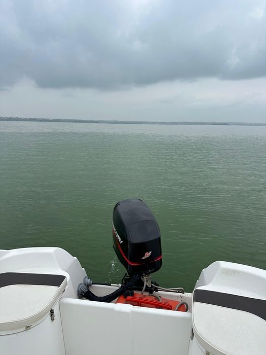 QuickSilver 520 Flamingo