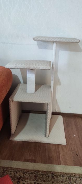 Домик для кошки и котят