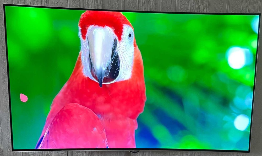 Телевизор LG OLED 55EG920V
