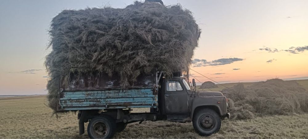 Сено / сено в рулонах / россыпной