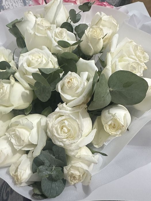 Гүл сатылады свежый