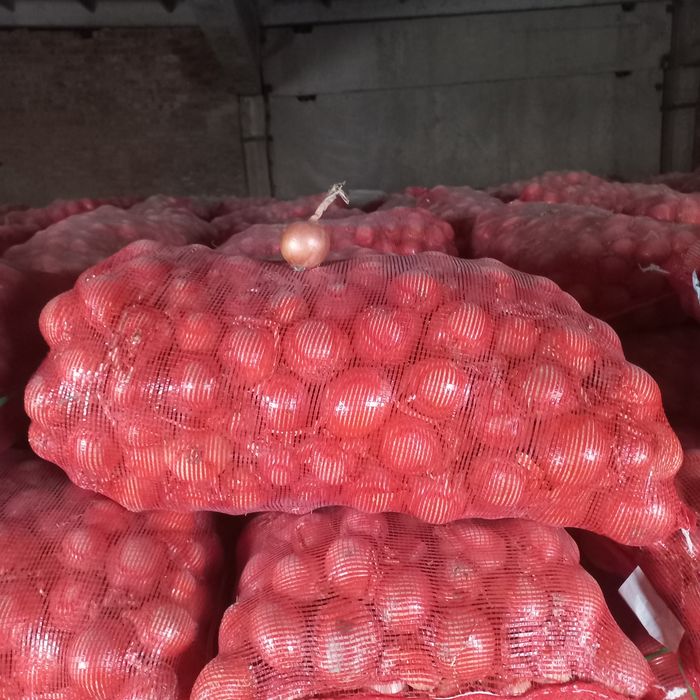 Лук хорошего качества сорт манас есть 45 тон.