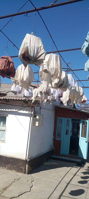 Сайридиган Бедана