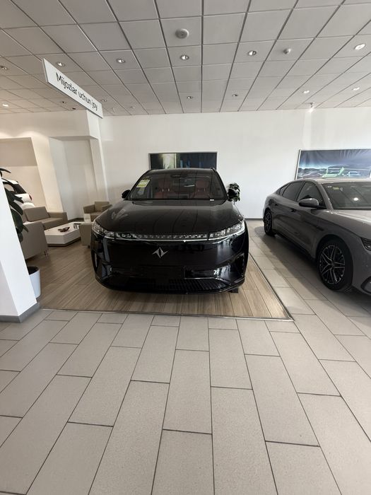 Dongfeng 008 full 2026