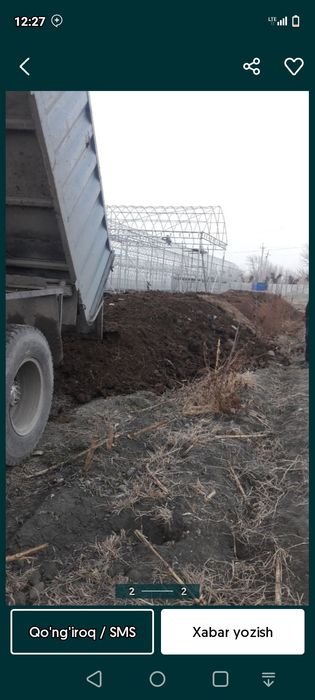 Toza mol pori Tomorqa uchun