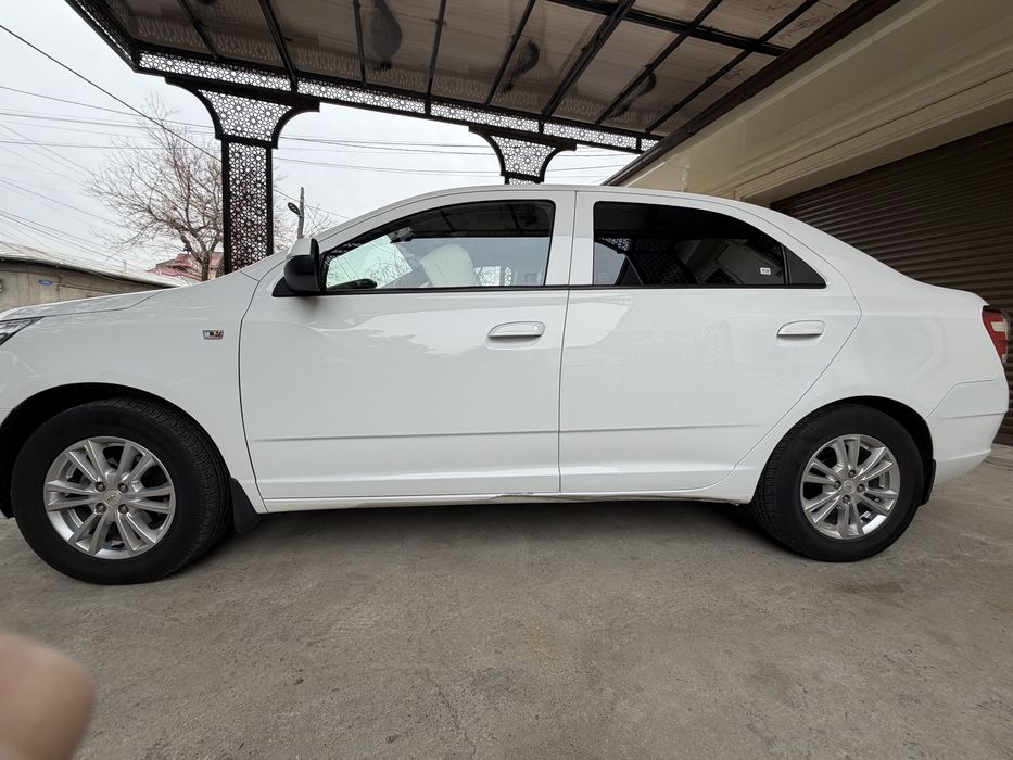 Kobalt 2023 4-Pazitsa