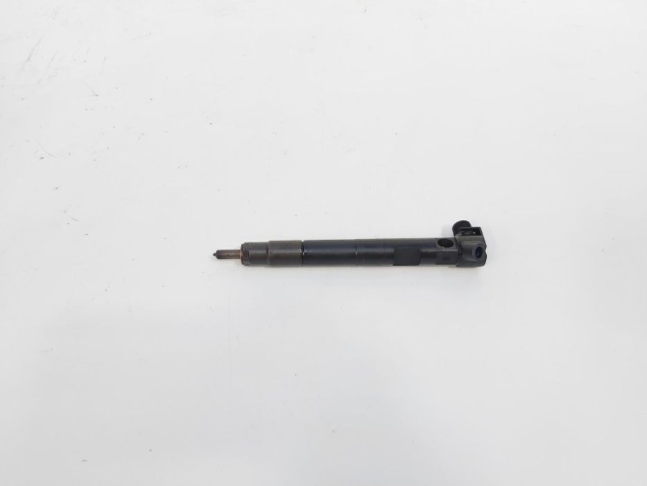 Injector Delphi, cod A6510702887, Mercedes CLS (C218) 2.2 CDI, OM651924
