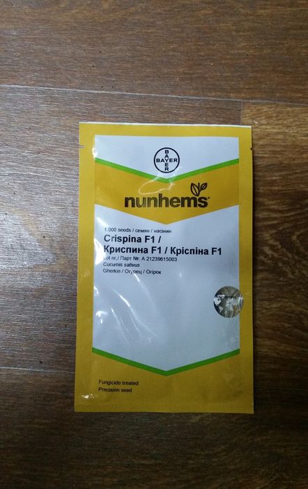 Огурцы голландские