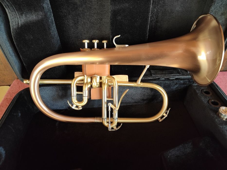 Професионална Флигорна JP by Taylor: P275SW Bb + куфар+стойка