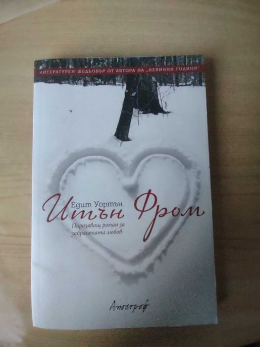 Итън Фром Поразяващ роман за забранената любов