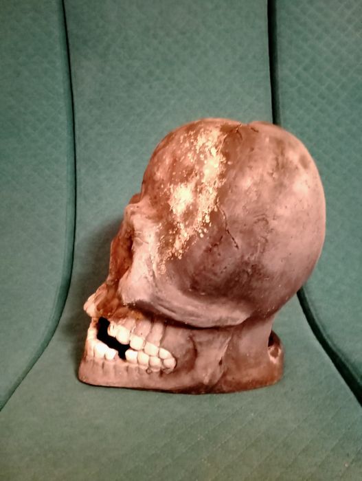 Craniu gorila 30 cm / Paleface Pan's Labyrinth