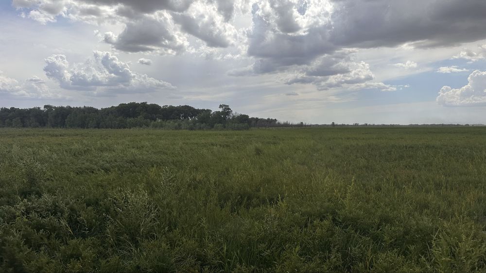 Земля сенокос пашня сено кх