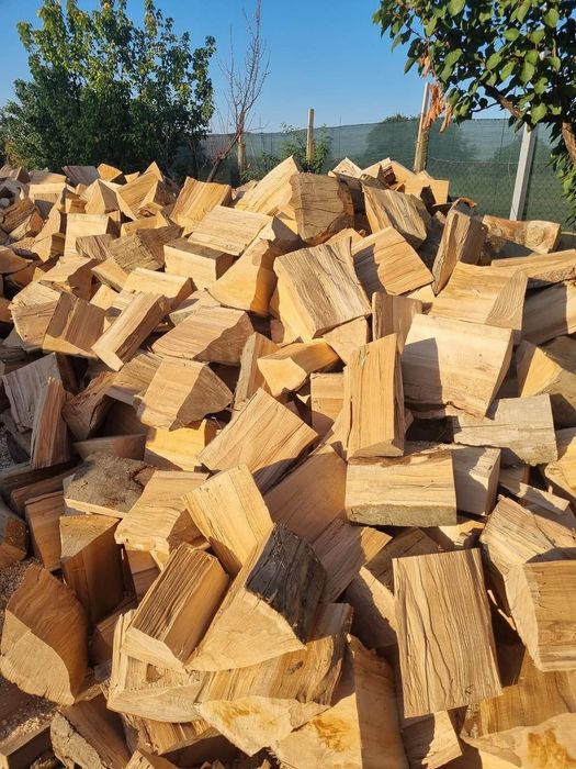 Lemne de foc fag capete uscate sau verzi 600lei tona sau la metru ster