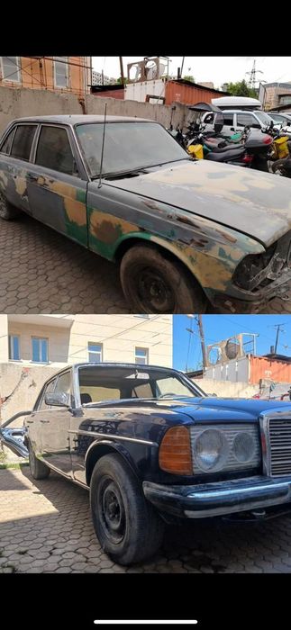 Костоправ моляр, покраска