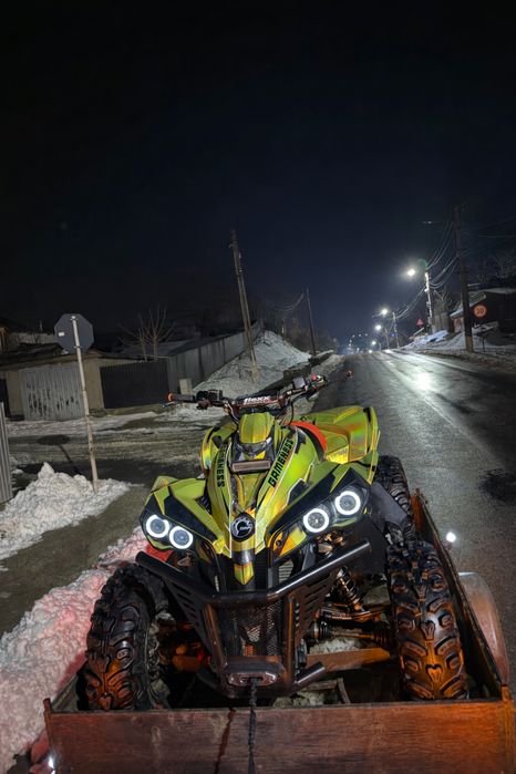 Can am renegade 1000