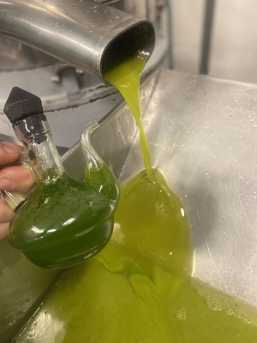 Ulei de masline filtrat la rece extravigin aciditate 0.2%