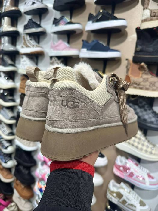 Ugg uri dama imblanite