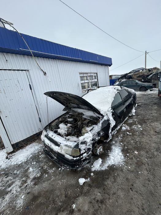 Актобе. Кок. Разбор