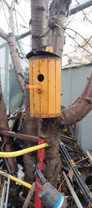 Скворечник для мелких птиц