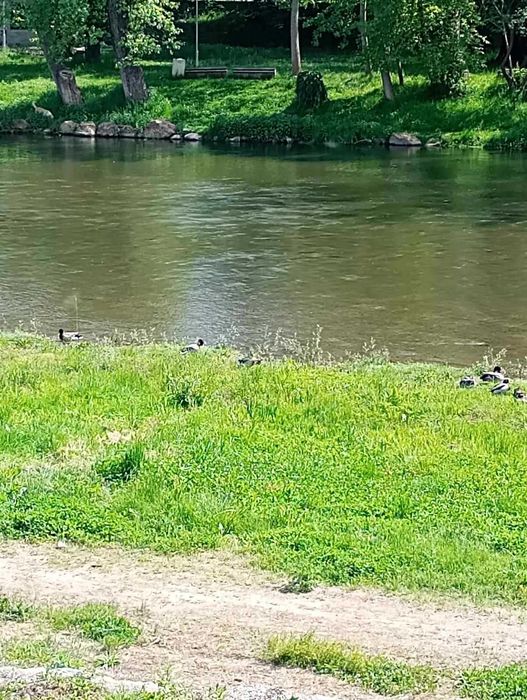 Продава се Къща в София, Бъкстон - 75 кв.м за 186 €/кв.м - Снимка #14