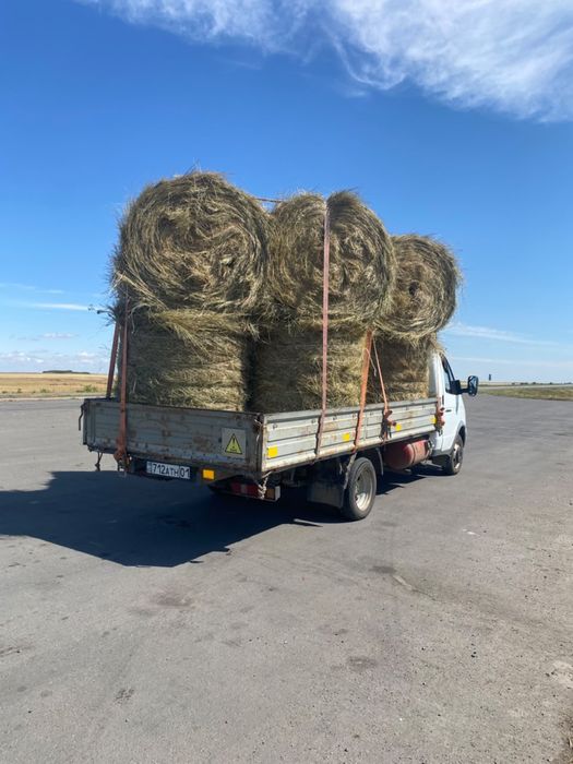 Продам сено разнотравье