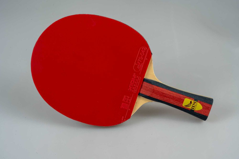 Paleta tenis de masa HM X-Ardor cu fețe Xiom Omega V Asia