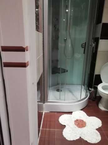 Дава се под наем Двустаен апартамент в София, Банишора - 42 кв.м за 373.83 € - Снимка #3