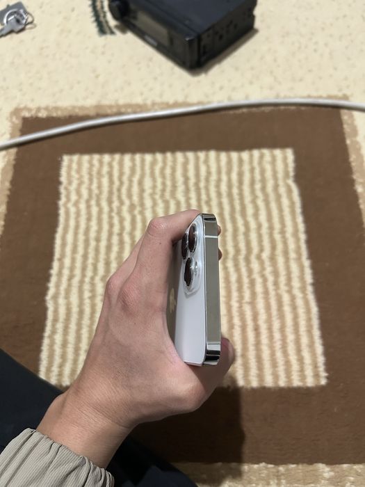 iPhone 13 pro max