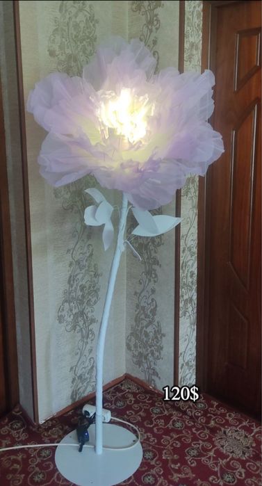 Sunniy xitoy gullari