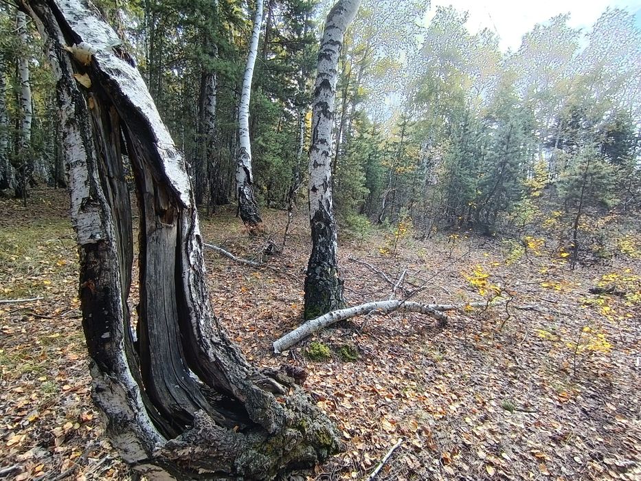 Продаю Honor 400 Lite новый!